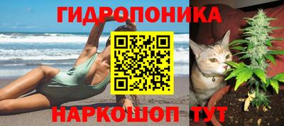 амф Кулебаки