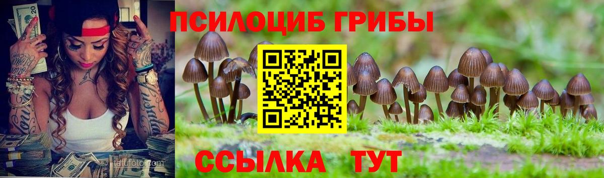 Псилоцибиновые грибы прущие грибы  где купить наркотик  Галлюциногенные грибы Psilocybe  Донецк  Вход с VPN 